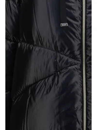 Herno Stand-collar Down Jacket In Black