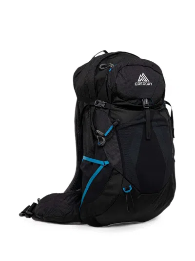Gregory Citro 30 Backpack In Purple
