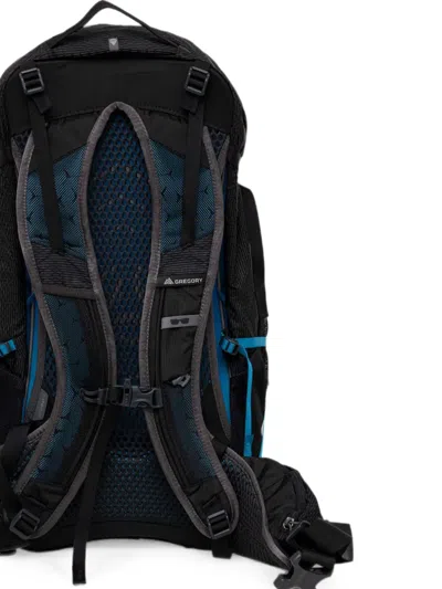 Gregory Citro 30 Backpack In Purple