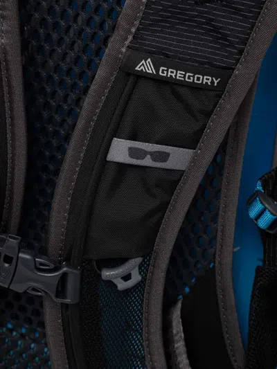 Gregory Citro 30 Backpack In Purple