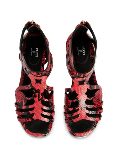 Pucci Low Gladiator Sandals In Multi