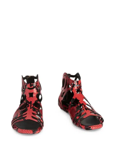 Pucci Low Gladiator Sandals In Multi