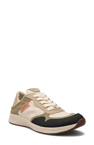 Taos Direction Sneaker In Multi