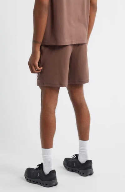 Santo Studio Hunter Lawrence Edition In Brown
