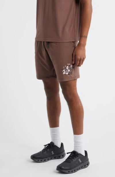 Santo Studio Hunter Lawrence Edition In Brown