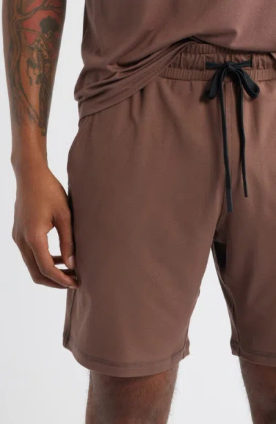 Santo Studio Hunter Lawrence Edition In Brown