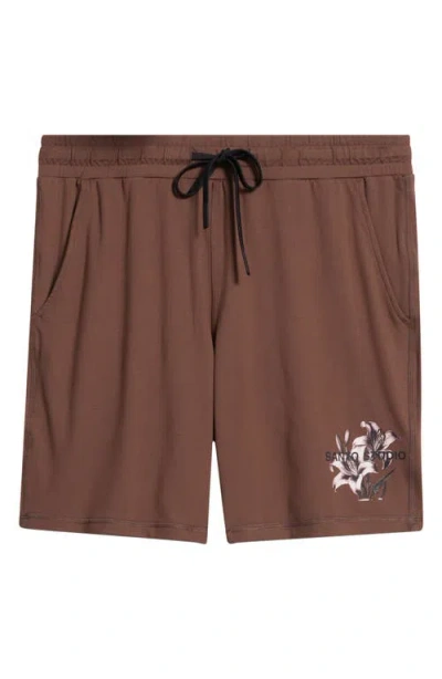 Santo Studio Hunter Lawrence Edition In Brown