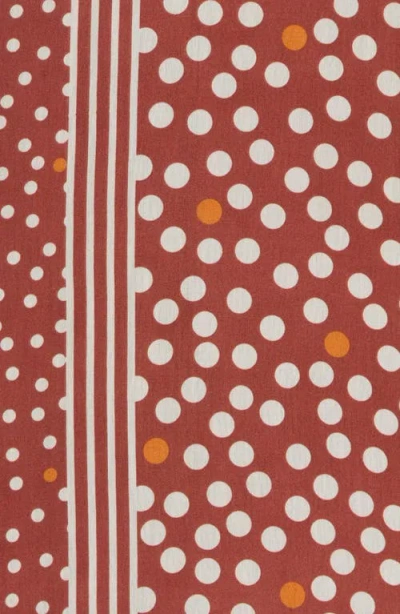 Bcbgeneration Polka Dot Scarf In Brown