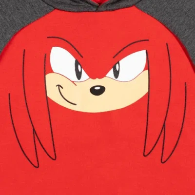 Sega Sonic The Hedgehog Pullover Hoodie In Multi
