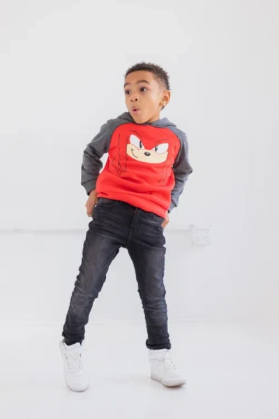 Sega Sonic The Hedgehog Pullover Hoodie In Multi