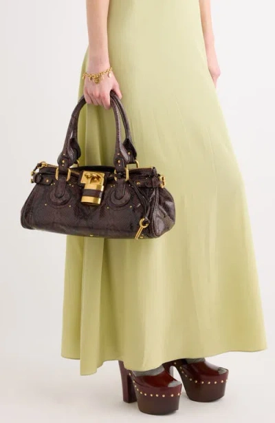Chloé Paddington Embossed Python Effect Shoulder Bag In Brown