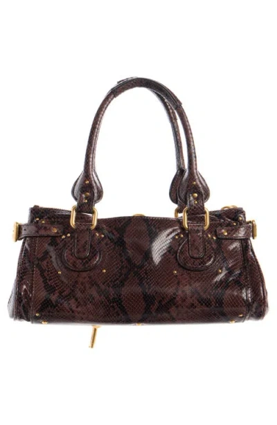 Chloé Paddington Embossed Python Effect Shoulder Bag In Brown