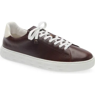 Versace Colour Block Trainer In White