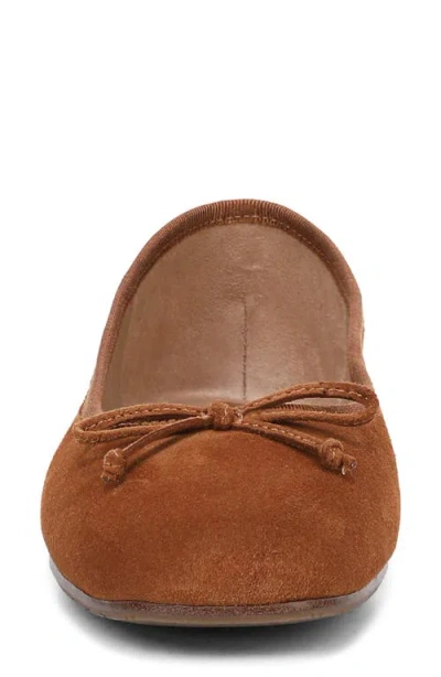 Sam Edelman Alie Ballet Flat In Brown