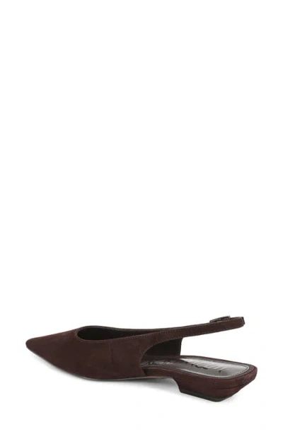 Sam Edelman Netty Slingback Pointed Toe Flat In Brown