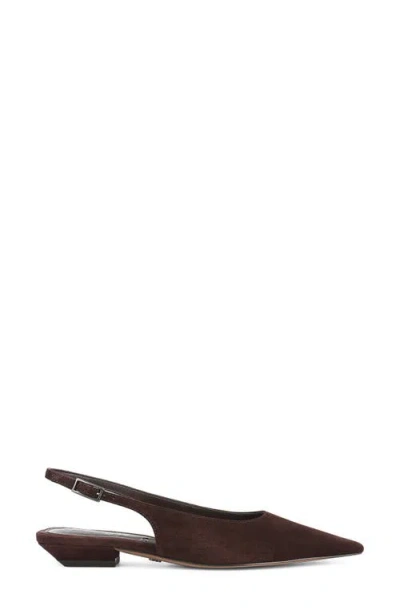 Sam Edelman Netty Slingback Pointed Toe Flat In Brown