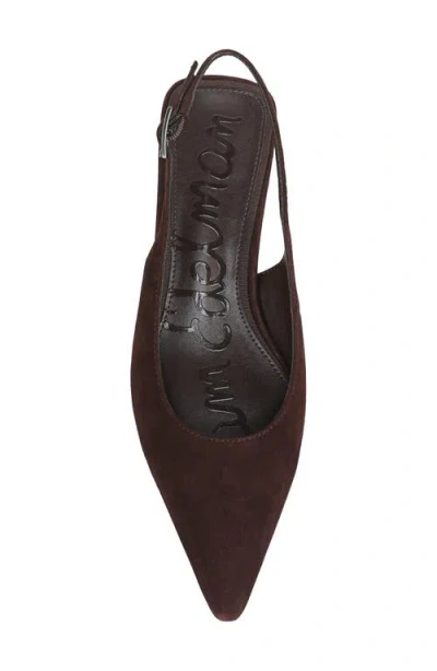 Sam Edelman Netty Slingback Pointed Toe Flat In Brown