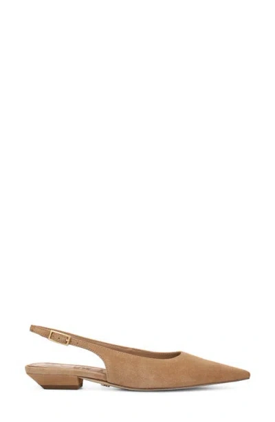 Sam Edelman Netty Slingback Pointed Toe Flat In Brown