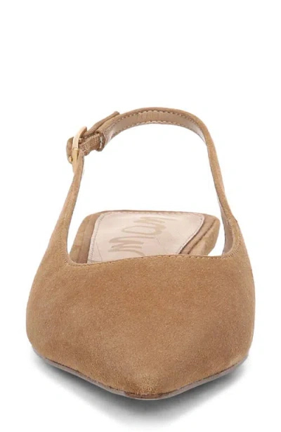 Sam Edelman Netty Slingback Pointed Toe Flat In Brown