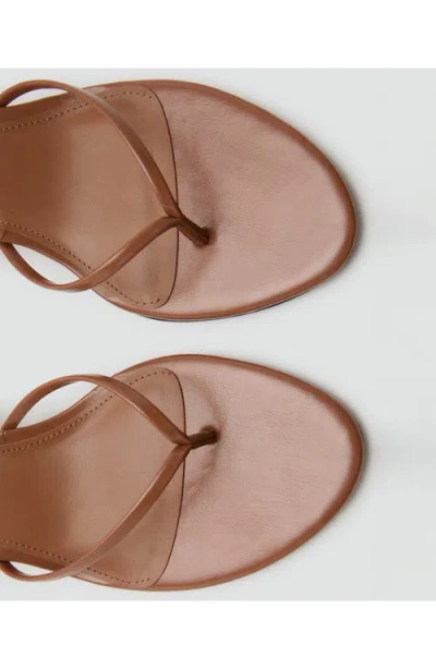 Mango Ankle Strap Sandal In Brown