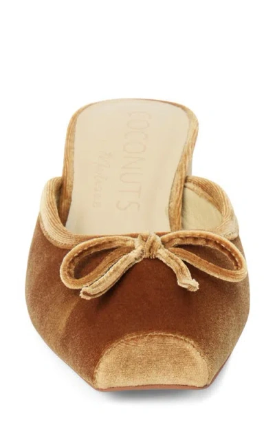 Coconuts By Matisse Geneva Mule In Brown