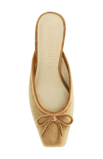 Coconuts By Matisse Geneva Mule In Brown