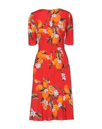 Shop Dolce & Gabbana Short Dresses In Red