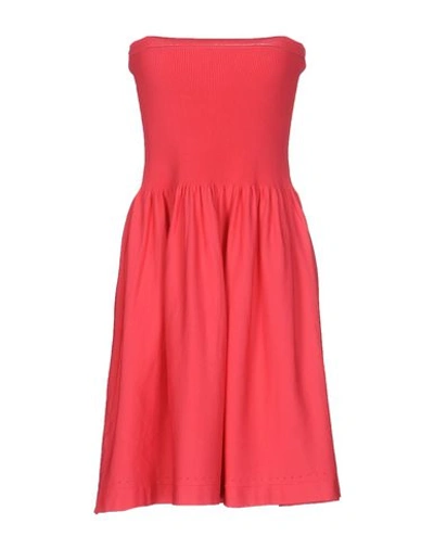 Shop Pinko Short Dress In Coral