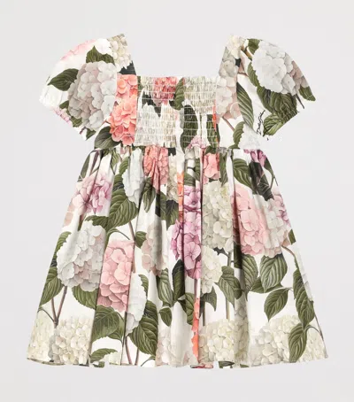 Dolce & Gabbana Hydrangea-print Poplin Dress In Multi