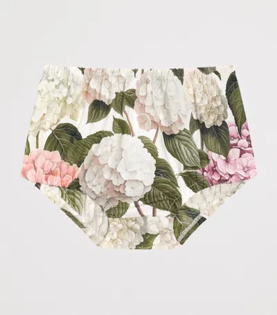 Dolce & Gabbana Hydrangea-print Poplin Dress In Multi