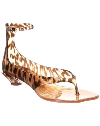 Chloé Brown Jelly Sandal With Animal Print And Flat Sandal In Multi