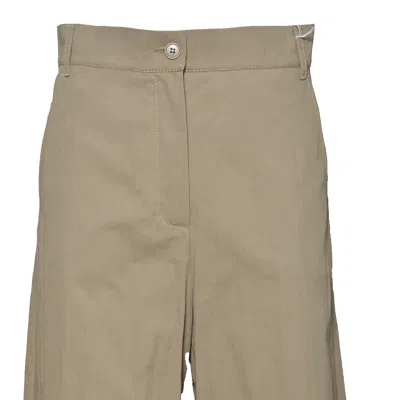 Max Mara Weekend Trousers In Brown