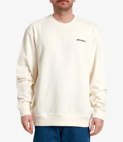 Dickies Sweaters Ecru In Neutral