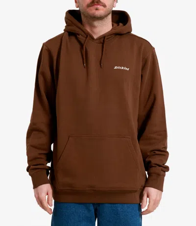 Dickies Sweaters Brown In Multi