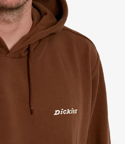 Dickies Sweaters Brown In Multi