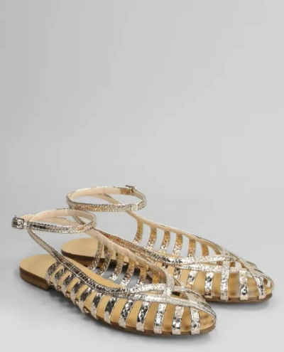 Anna F . In Silver
