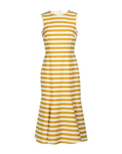 Shop Dolce & Gabbana Woman Midi Dress Ocher Size 4 Cotton, Elastane In Yellow