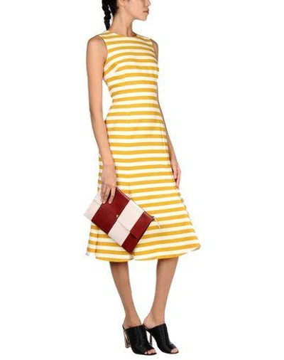 Shop Dolce & Gabbana Woman Midi Dress Ocher Size 4 Cotton, Elastane In Yellow