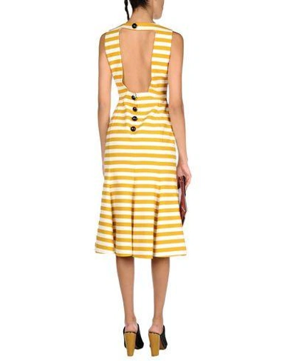 Shop Dolce & Gabbana Woman Midi Dress Ocher Size 4 Cotton, Elastane In Yellow