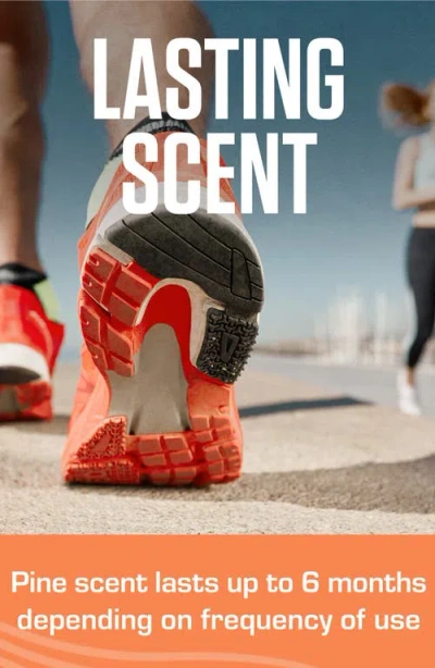 Implus 6-pack Sneaker Balls In Multi