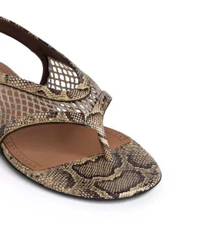 Alaïa Python-effect Thong Sandals In Multi