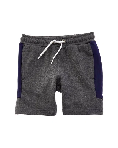 Sovereign Code Jet Short In Gray