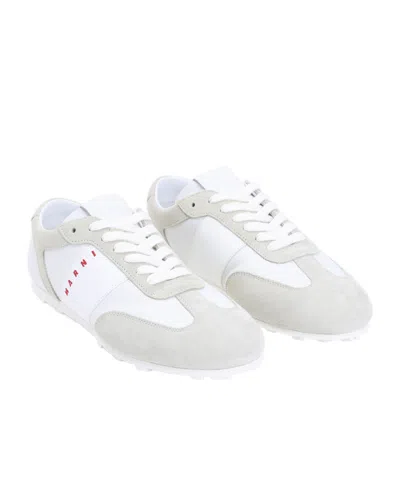 Marni Lily White Light Grey Leather Sneakers In White