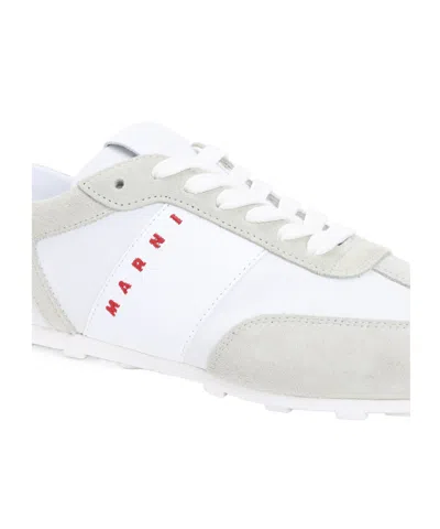 Marni Lily White Light Grey Leather Sneakers In White
