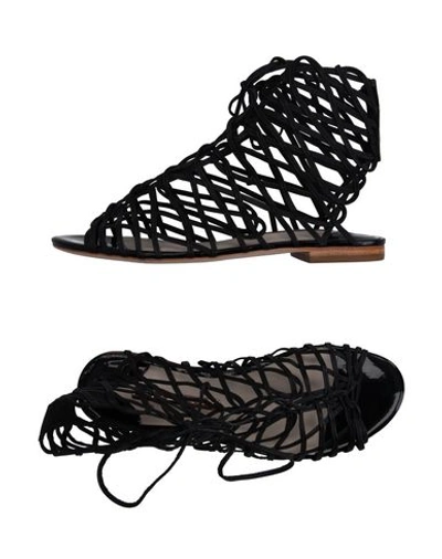 Shop Sophia Webster Sandals In Black
