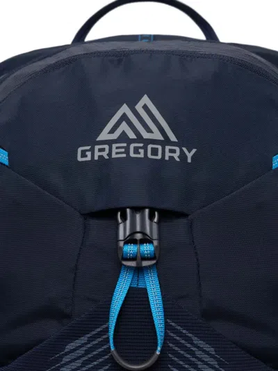 Gregory Miko 20 Backpack In Blue