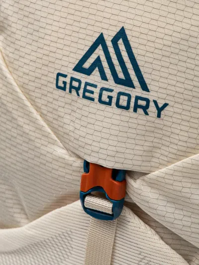 Gregory Nano 20 Logo-print Backpack In Neutral