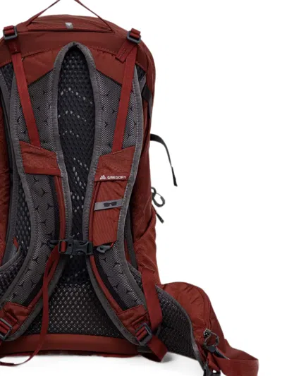Gregory Citro 24 Logo-print Backpack In Red