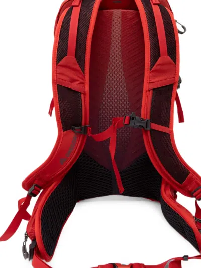 Gregory 15l Miko Logo-print Backpack In Red