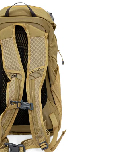 Gregory Arrio 22l Ripstop Backpack In Green